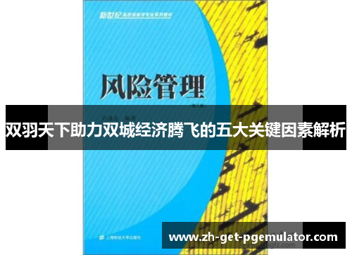 双羽天下助力双城经济腾飞的五大关键因素解析