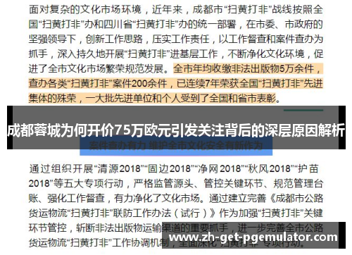 成都蓉城为何开价75万欧元引发关注背后的深层原因解析