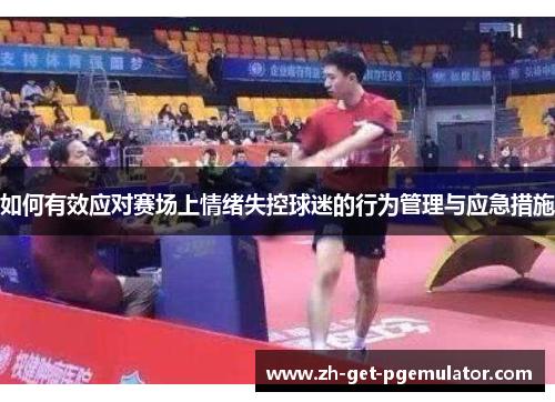 如何有效应对赛场上情绪失控球迷的行为管理与应急措施