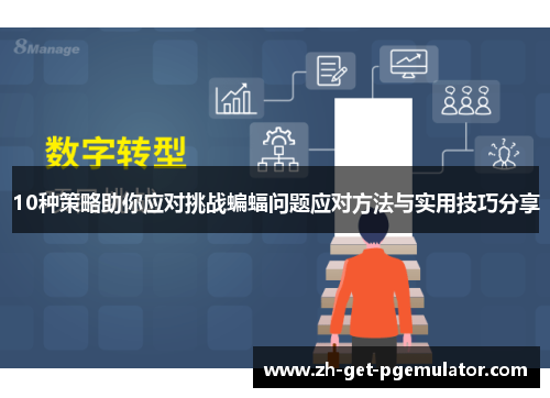 10种策略助你应对挑战蝙蝠问题应对方法与实用技巧分享