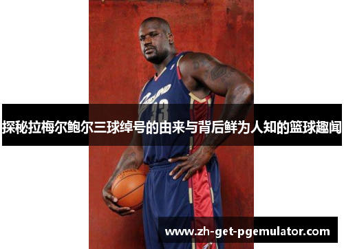 探秘拉梅尔鲍尔三球绰号的由来与背后鲜为人知的篮球趣闻 探秘拉梅尔鲍尔三球绰号的由来与背后鲜为人知的篮球趣闻