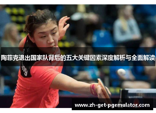 陶菲克退出国家队背后的五大关键因素深度解析与全面解读 陶菲克退出国家队背后的五大关键因素深度解析与全面解读