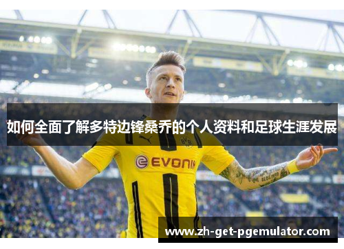 如何全面了解多特边锋桑乔的个人资料和足球生涯发展 如何全面了解多特边锋桑乔的个人资料和足球生涯发展