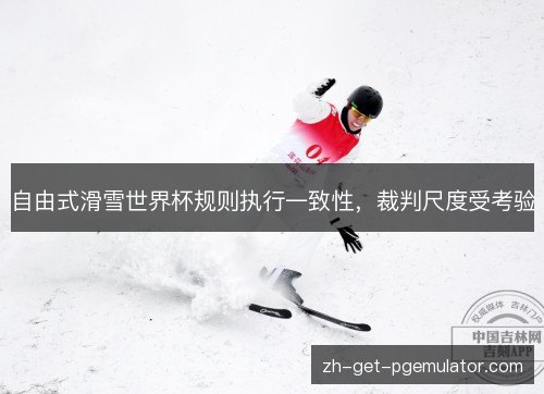 自由式滑雪世界杯规则执行一致性,裁判尺度受考验 自由式滑雪世界杯规则执行一致性,裁判尺度受考验